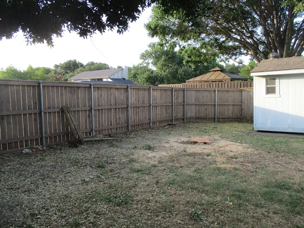 Cleared yard after professional tree removal in Ashland